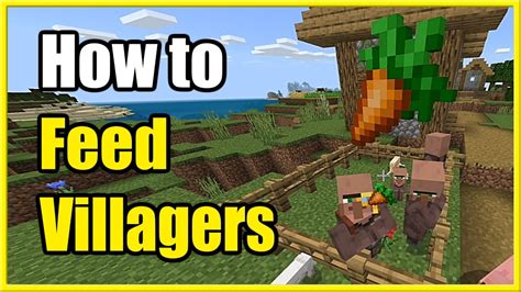 what to feed villagers to breed|Tutorials/Villager farming – Minecraft Wiki.